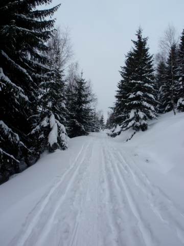 Spinleruv Mlyn Februari 2010